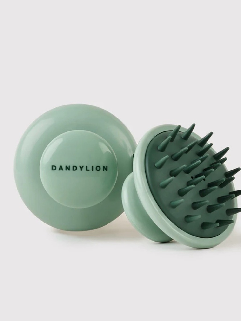 DANDYLION Mint Scrub Brush (For Dogs)